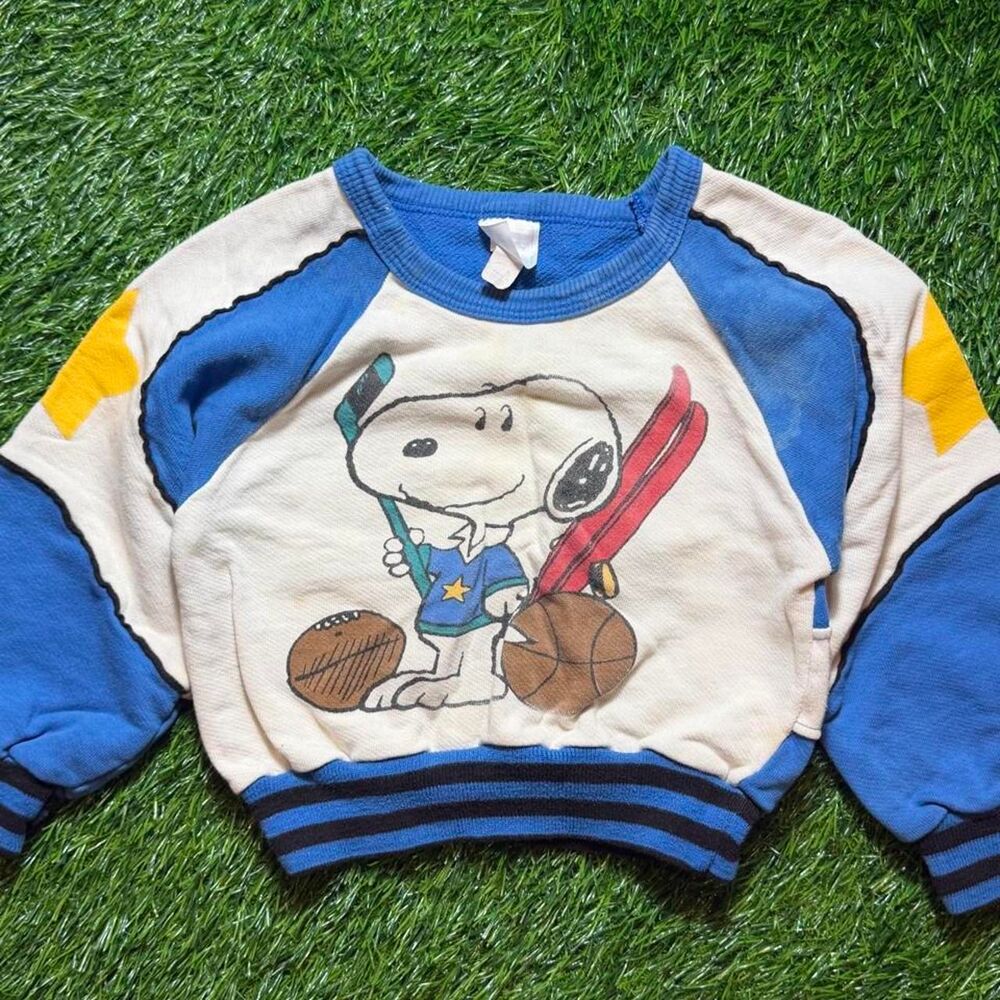 Peanuts Men's Multi Sweatshirt